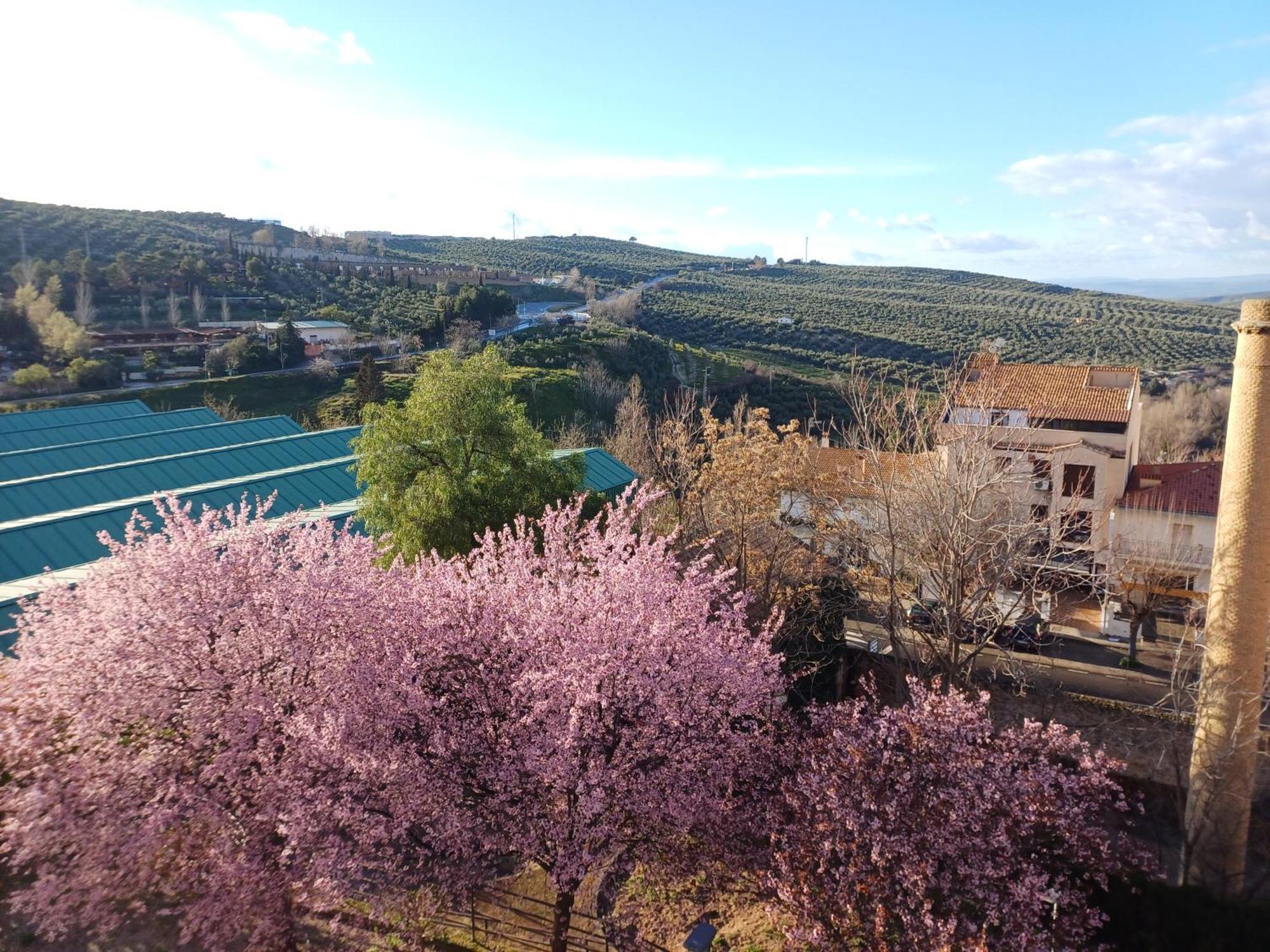 Cazorla Live Apartment Luaran gambar