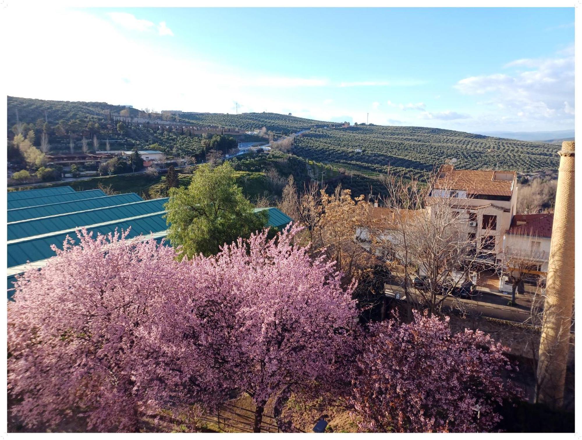Cazorla Live Apartment Luaran gambar